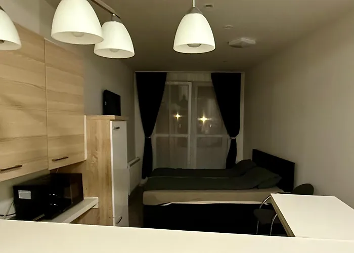 公寓 Burg Exklusiv